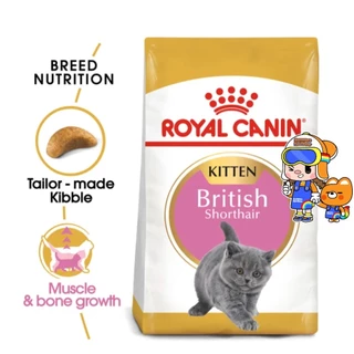 Royal Canin British Shorthair Kitten 10kg / British Shorthair Adult 10kg อาหารแมว ลูกแมว บริติช 10 กก.