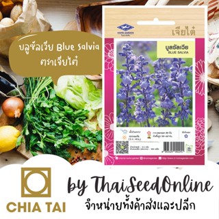 CTFW เมล็ดพันธุ์ บลูซัลเวีย ตราเจียไต๋ Blue Salvia เมล็ดดอกไม้ เมล็ดพันธุ์ดอกไม้