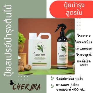 แกนลอน 1 ลิตร แถมฟรี‼️ปุ๋ยสเปรย์บำรุงต้นไม้ Cher’jira Plant Booster บำรุงใบให้แข็งแรง ใบหนา เงางาม อาหารต้นไม้