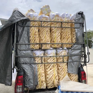 กระเพาะปลา(รุ่นน้ำมันน้อย) กระเพาะปลามั้วขาว แพ็ค 1 กิโลกรัม 500กรัม 250กรัม กระเพาะปลามั้วเบาสีขาว