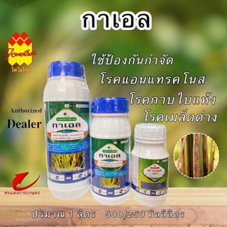 กาเอล (KAEIL) 250, 500 ,1000 ซีซี