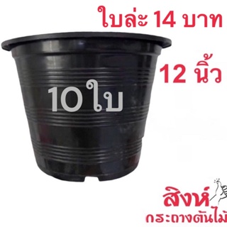 กระถางพลาสติกสีดำ 12 นิ้ว ชุด 10 ใบ