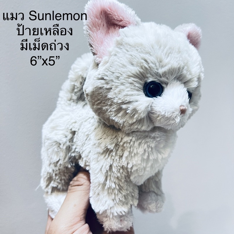 #ตุ๊กตา #แมวขนนุ่ม #Kitten #Cat #ขนาด6*5นิ้ว #นุ่มสวย #ป้ายเหลือง #Kitten #Sunlemon #ลิขสิทธิ์แท้ #ม