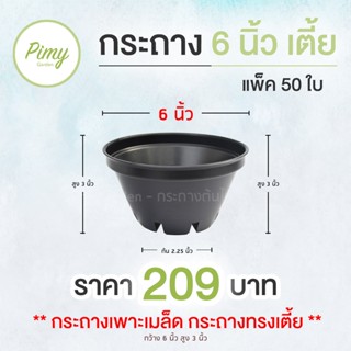 50 ใบ กระถางเพาะเมล็ด กระถางทรงเตี้ย กระถางกระบองเพชร กระถาง 6 นิ้ว ทรงชาม