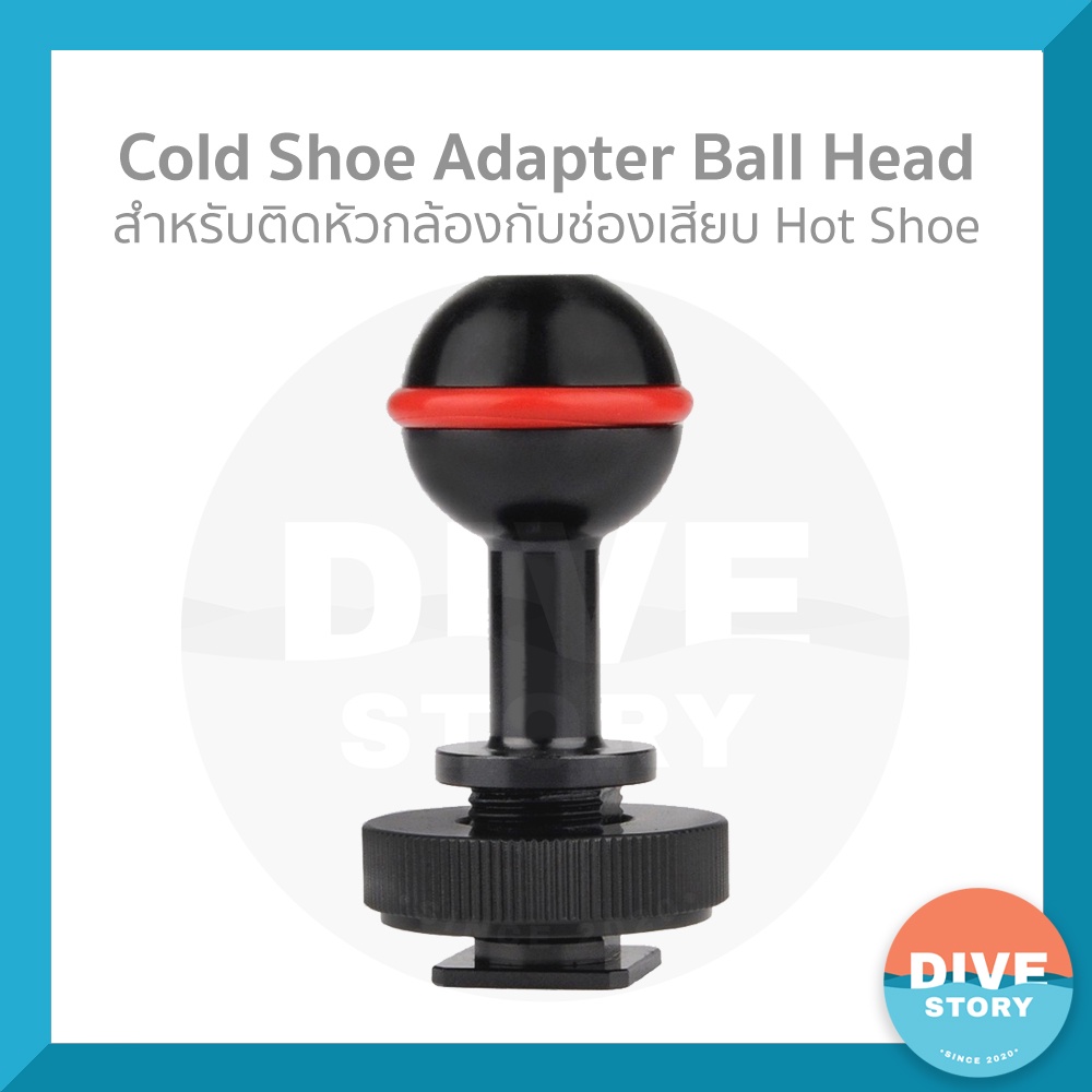 Cold Shoe Adapter Ball Head สำหรับติดหัวกล้องกับช่องเสียบ Hot Shoe พร้อมส่ง✅