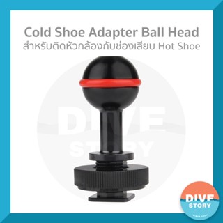 Cold Shoe Adapter Ball Head สำหรับติดหัวกล้องกับช่องเสียบ Hot Shoe พร้อมส่ง✅