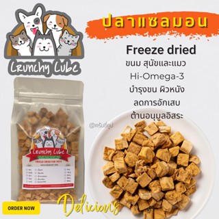 Crunchy Cube ปลาแซลมอน ฟรีซดราย ขนมน้องแมว น้องหมา Hi-โอเมก้า