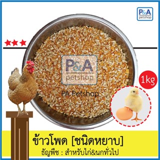 ข้าวโพดหยาบ_สำหรับสัตว์เลี้ยง นก ไก่ [ชนิดแบ่งขาย 1กก] .