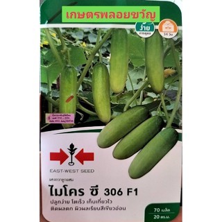 แตงกวา ไมโครซี 306 📌 บรรจุ 70เมล็ด🥒หมดอายุ08/11/2567🥒 ผลมีสีเขียวอมขาว ผลเท่าครึ่งของฝ่ามือ /12-14ซม. ปลูกง่าย ใส่ค้างหร