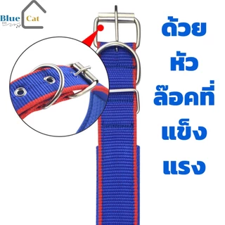 ปลอกคอหมา XL ปลอกคอสุนัขโต สัตว์เลี้ยง พร้อมส่ง หมาพันธ์ใหญ่ ปลอกคอผ้าไนล่อน ปลอกคอหมาใหญ่ไนลอน
