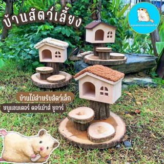 บ้านหนู บ้านไม้แท้ บ้านสัตว์เลี้ยง บ้านแฮมเตอร์ บ้านดอร์เม้าส์ บ้านชูการ์ //บ้านหนูแฮมเตอร์ บ้านหนูแฟตเทล