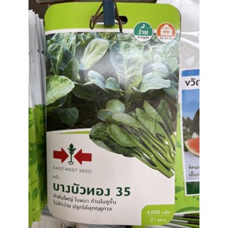 เมล็ดผักตราศรแดง ซองละ 25 บาท