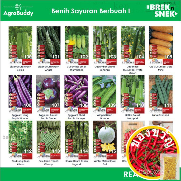 คอนแทคเลนส์ jomplanting/วงดนตรี/ชุดชั้นใน/แอปเปิ้ล/แอปเปิ้ล/ดอกไม้/ผัส XW2T