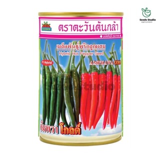 พริก อัมพวา โกลด์ ตราตะวันต้นกล้า 🌶ผลเขียวสีสวย ผลแดงสีสด ผิวเรียบ ขั้วยาว🌶