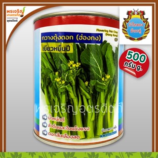 เมล็ดพันธุ์ ผักกาดกวางตุ้ง กวางตุ้งดอกฮ่องกง เขียวหมื่นปี (500 กรัม) เมล็ดกวางตุ้งดอก เมล็ดพันธุ์ผักสวนครัว ตรากำไลทอง