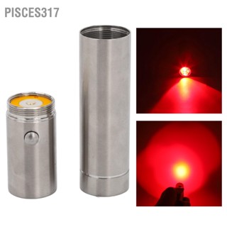 Pisces317 630nm 660nm Red LED Therapy Torch Professional Portable Joint Relief Infrared Device for Men Women