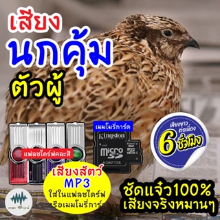 (MP3 เสียงต่อสัตว์) เสียงนกคุ้มตัวผู้ [6ชั่วโมง] ใส่แฟลชไดร์ฟ/เมมโมรี่ มีเก็บเงินปลายทาง เสียงดี ชัด100% ไม่มีโฆษณาแทรก