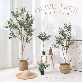 [210พร้อมส่ง/ไซส์อื่นพรี14วันค่ะ]🫒🍃OLIVE TREE ต้นมะกอกปลอม ต้นโอลีฟงานเหมือนจริง มินิมอลมาก เชื่อว่าเสริมความปังด้วยน้า