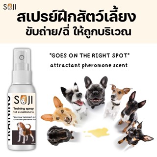 SOJI สเปรย์ฝึกขัยถ่าย Training spray ฝึกสุนัข/แมว ฉี่ ขับถ่ายให้ถูกบริเวณ