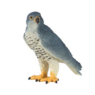 Mojo PEREGRINE FALCON โมเดลฟิกเกอร์พลาสติก รูปนก ของเล่นสําหรับเด็ก