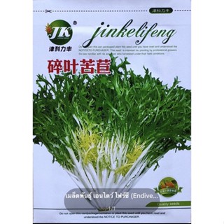 เมล็ดพันธุ์ เอนไดว์ไฟร์ซี (Endive Frisee Seed) บรรจุ 3500 เมล็ด