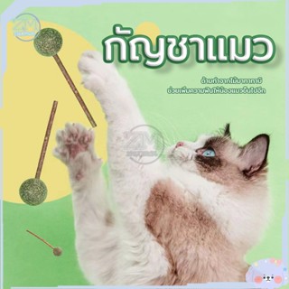 กัญชาบอล กัญชาแมว แคทนิป กัญชาเเมว ลูกบอลแคทนิป แคทนิป Catnip Ball แคทนิปบอล ของเล่นแมว เล่นสนุกเพลิดเพลินกว่าเดิม