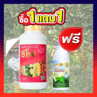 ปุ๋ยน้ำซีโฟ ขนาด 500 ซีซี (แถมฟรีสารจับใบ เอฟอช 100ซีซี) ปุ๋ยซีโฟ ปุ๋ยน้ำซีโฟเร่งผล ผลิตลูกดก บำรุงผล เร่งเติบโตผล