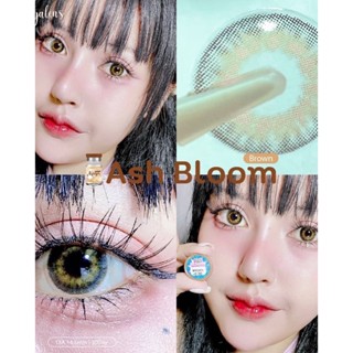 Ash bloom Brown (Mayalens)