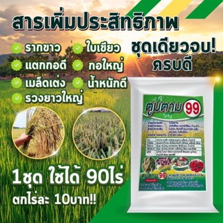 🌾ตูมตาม99พลัส🌾สารเสริมประสิทธิภาพพืช ในนาข้าว ข้าวเขียวดี๊ดี กอใหญ่ รากขาวยาว เมล็ดเต่ง รวงใหญ่ น้ำหนักดี