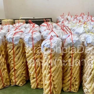 กระเพาะปลา🔻ขายส่ง‼️ ยกลูก 5กิโลกรัม ราคาส่ง‼️📌 กระเพาะปลามั้วเบาเข้ม กระเพาะปลามั้วเบาสีทอง หลอดใหญ่