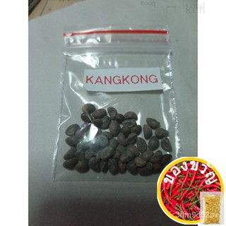 ร้านค้า: ผักผักเมล็ด Kangong 50 Pcs. บ้านและสวน/อัญมณี/ของเล่น/ดอกไม้/หมวก/สวน/ กระโปรง/ผักชี/ 7NTF