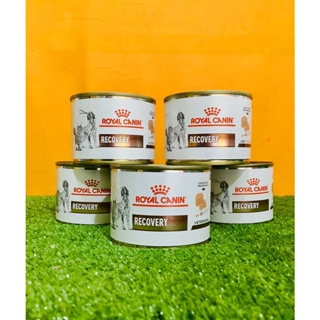 Royal Canin Recovery อาหารเปียก สัตว์เลี้ยงป่วย ช่วงพักฟื้น สำหรับสุนัขและแมว 195 g