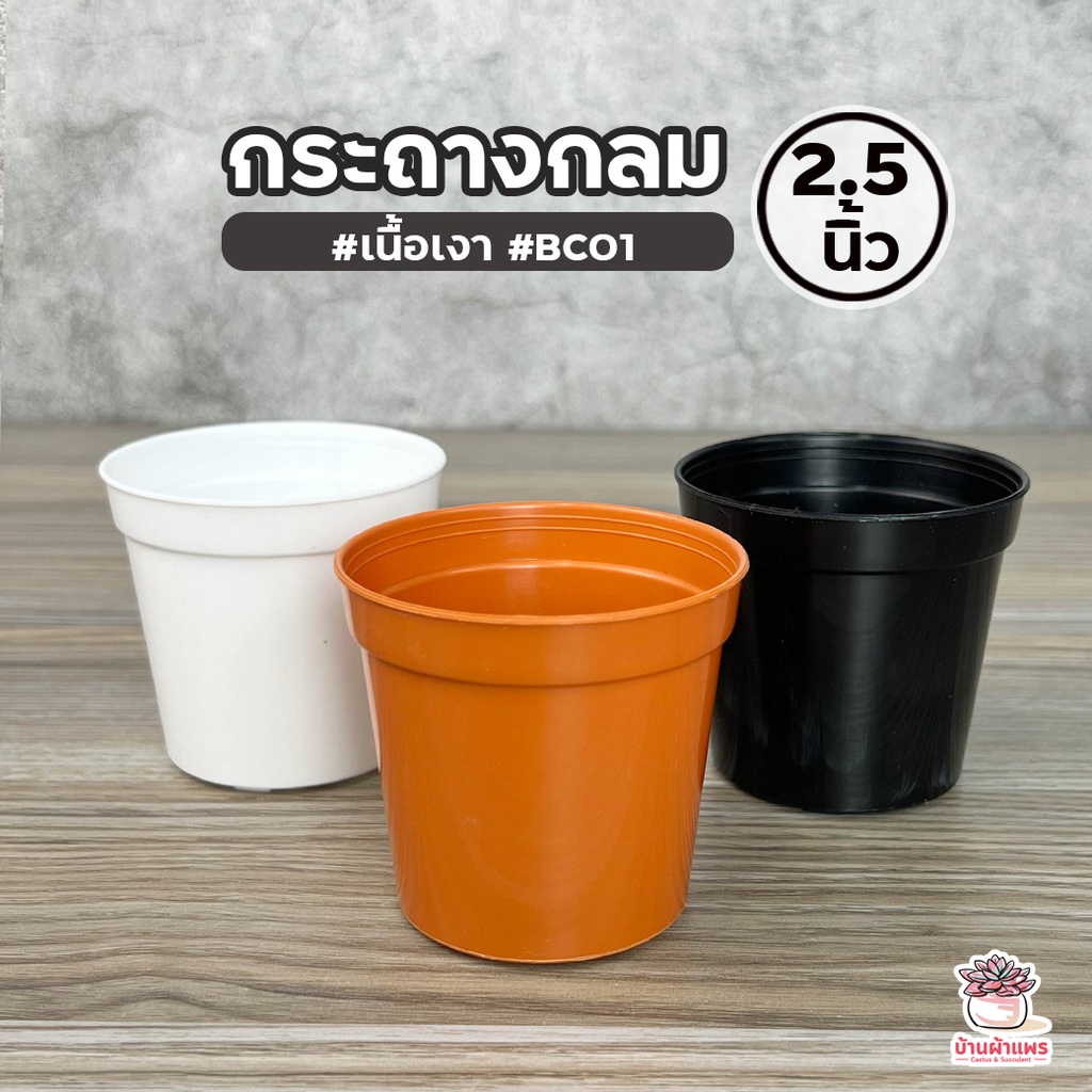 กระถางกลม 2.5 นิ้ว เนื้อเงา #BC01 กระถางพลาสติก แคคตัส กระบองเพชร ไม้อวบน้ำ Cactus&Succulent