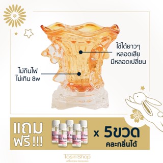 เซ็ทเตาไฟฟ้าสุดคุ้ม แถมน้ำมันหอมระเหย 5ml. x 5 ขวด