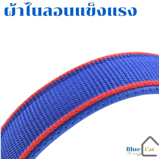 ปลอกคอหมา XL ปลอกคอสุนัขโต สัตว์เลี้ยง พร้อมส่ง หมาพันธ์ใหญ่ ปลอกคอผ้าไนล่อน ปลอกคอหมาใหญ่ไนลอน