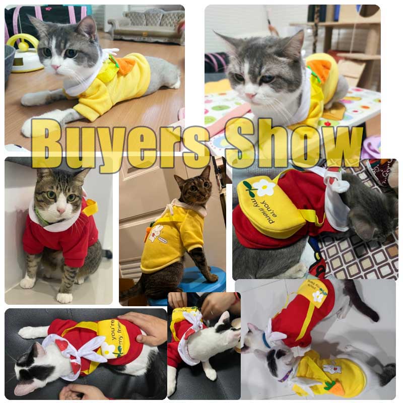 AimayaPet ชุดสัตว์เลี้ยง ชุดสัตว์สุดเท่ เสื้อยืดลายน่ารักแฟชั่นฤดูร้อนสําหรับสัตว์เลี้ยงสุนัขแมว XL - รูปที่ 7