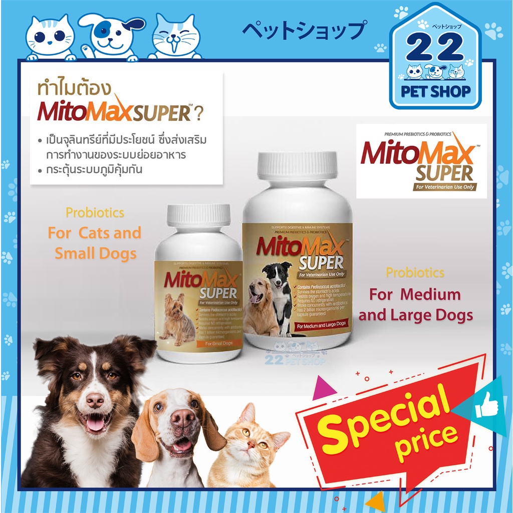 Mitomax Super Small Medium 🔥Exp.2028 Probiotic Prebiotic โปรไบโอติก อาหารเสริม ช่วยย่อย สุนัข แมว (1 กระปุก 30 แคปซูล)