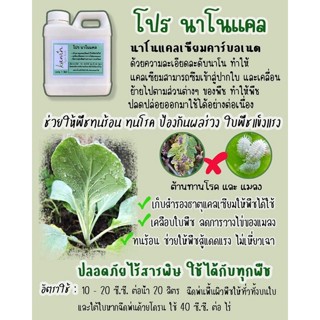 ชุด 3 โปร วิธีไล่แมลงและป้องกัน แบบใหม่ด้วย🧑‍🌾ผงขมิ้น🌱น้ำมันสะเดา🥬นาโนแคล