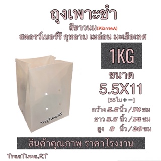 ถุงเพาะชำ PE สีขาวนม 5.5X11 (1KG)(55ใบ➕➖) เนื้อPE เหนียวกว่า ทนกว่า ใช้ได้นานกว่า เนื้อHD (1KG)