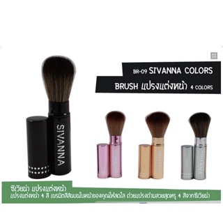 Sivanna Colors brush  4 colors ซีเวนน่า แปรงปัดแก้ม แปรงมีปลอก #BR-09 BR09