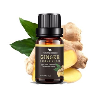 100% Ginger Essential oil ขนาด 10 ml. น้ำมันหอมระเหย ขิง บริสุทธิ์