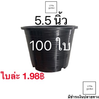 Little กระถางแคคตัส กระถางกระบองเพชร กระถางต้นไม้ 5 นิ้ว 5.5 นิ้ว 100 ใบ