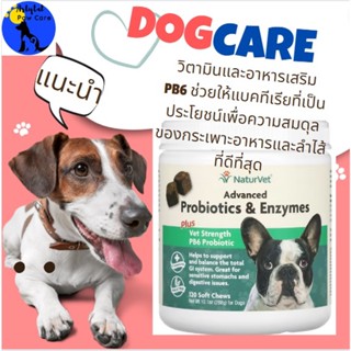 Advanced Probiotics and Enzymes, Plus Vet Strength PB6 Probiotic for Dogs, 120 Soft Chews