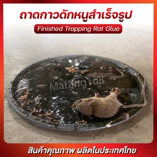 ขายดี !! กาวดักหนูวิทยาศาตร์ กาวดักหนูสำเร็จรูป 100G