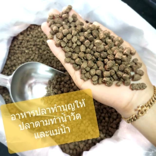 อาหารปลากินพืช ใหม่ๆ[ถุง 1 กก.]ทำบุญให้ปลาที่วัด ท่าน้ำวัด ปลาแม่น้ำทั่วไป