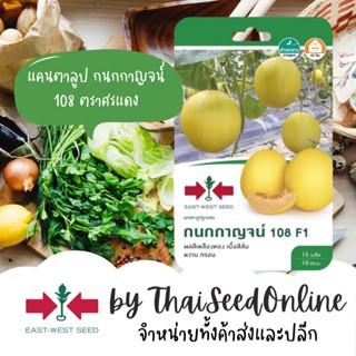 GGEW เมล็ดพันธุ์ซฟ แคนตาลูป กนกกาญจน์108 Cantaloupe ตราศรแดง