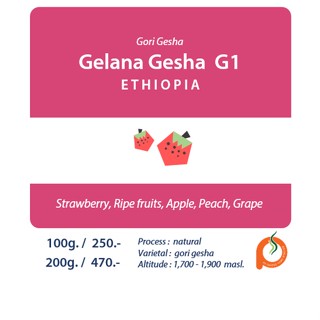 Ethiopia Gelana Gesha G1 / 200g.