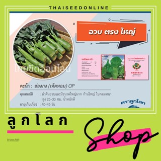 เมล็ดพันธุ์ กป1/4 ขนาด 60กรัม คะน้าเห็ดหอม คะน้าหวาน ตราลูกโลก