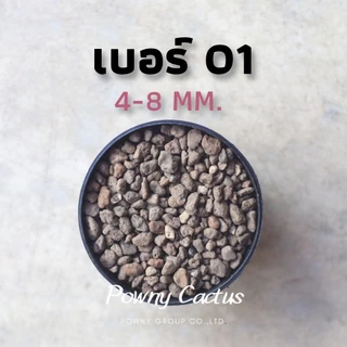 หินภูเขาไฟ ถุง 1 ลิตร เบอร์ 00 01 02 03 SSS หินรองก้อนกระถาง หินพัมมิส Pumice รองก้นกระถาง วัสดุปลูก