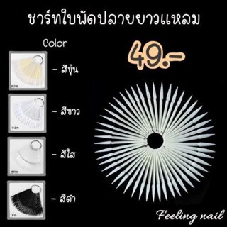 ชาร์ทใบพัดปลายเเหลมยาวเเหลม